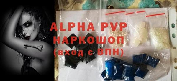 винт Горно-Алтайск