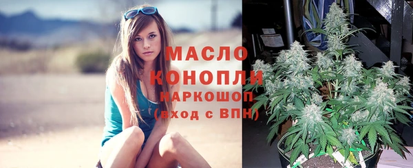 спайс Горняк