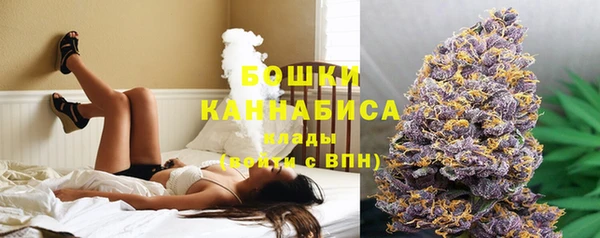 спайс Горняк