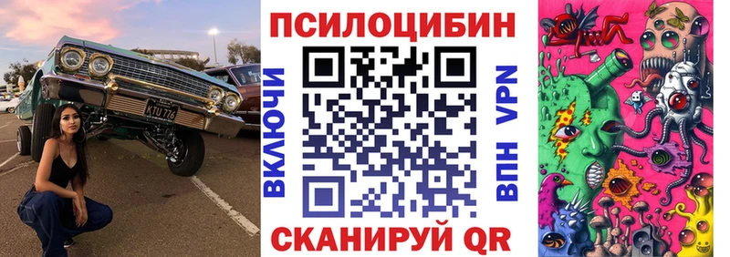 Псилоцибиновые грибы Cubensis  Купить где  Чердынь 